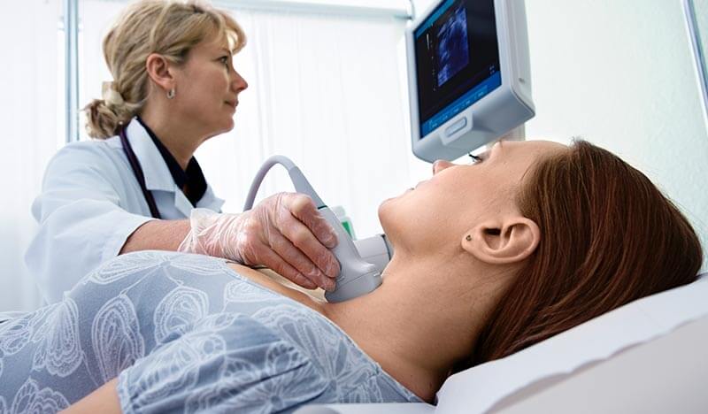 Endocrinology